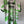 Santos Laguna LUCHA LIBRE Charly Grande