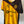 Leones Negros UDG Lotto Chica