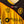 Leones Negros UDG Lotto Chica