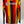 Leones Negros UDG Charly Chica