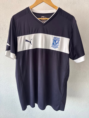 Lech Poznan 2013 Puma Alternativa XL