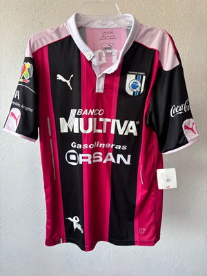 Queretaro 2016 Puma Mediana