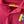 Venezuela 2019 GIVOVA Matheus 57