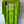 Atletico San Luis 2026 Charly Portero Verde